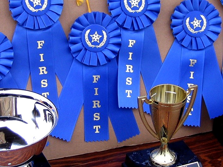 Four blue ribbons reading "FIRST" hang on a piece of cardboard in the background. In the foreground, a smallish gold trophy and part of a large silver trophy are visible.