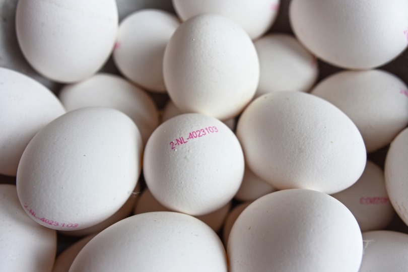 A collection of chicken eggs, each stamped with an identifier